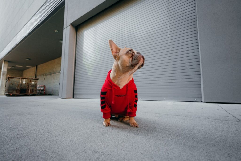 Photo Influencer, Ethics