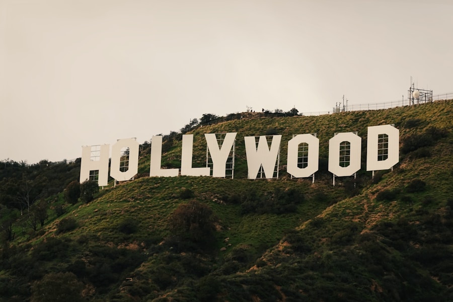 Photo "Influencer Campaigns on Online Movie and Series Platforms"