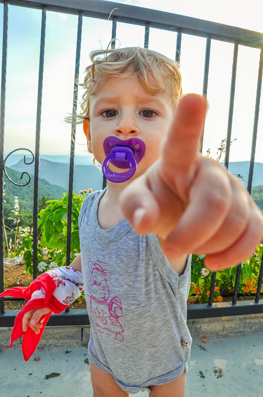 Photo "Influencer Strategies in Parenting and Child Development Blogs"