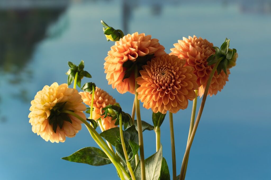 Photo Flower arrangements
