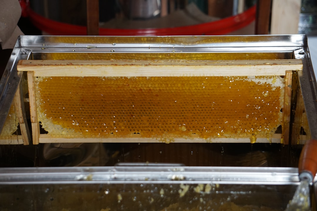 Photo Honey jars