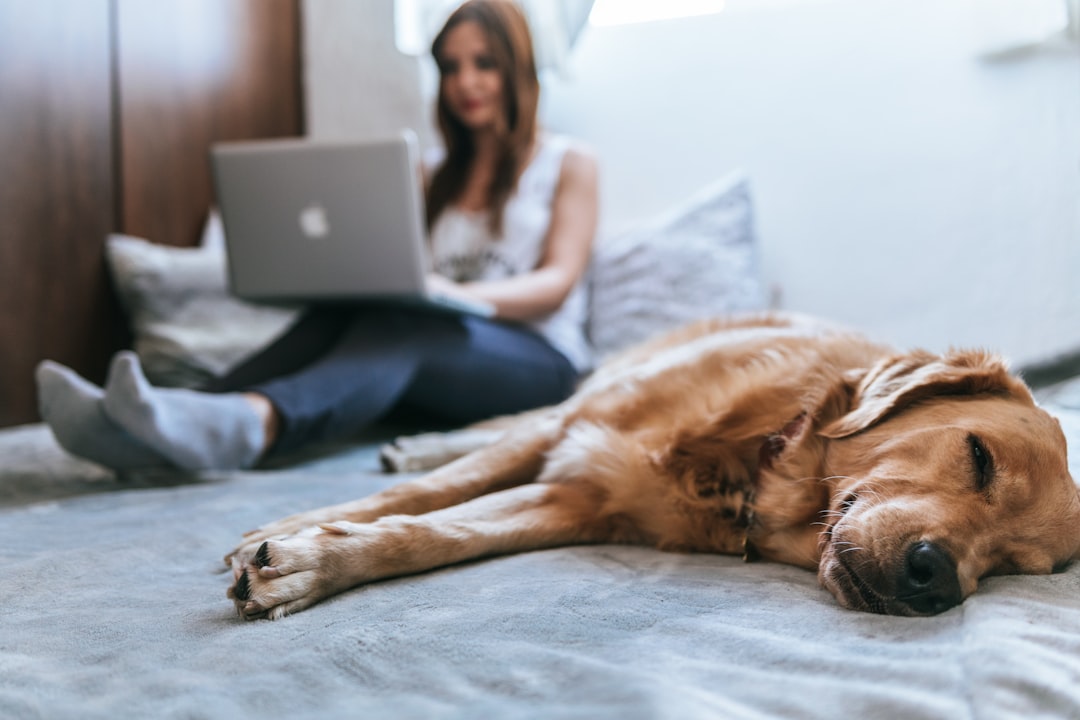 Photo Pet influencer
