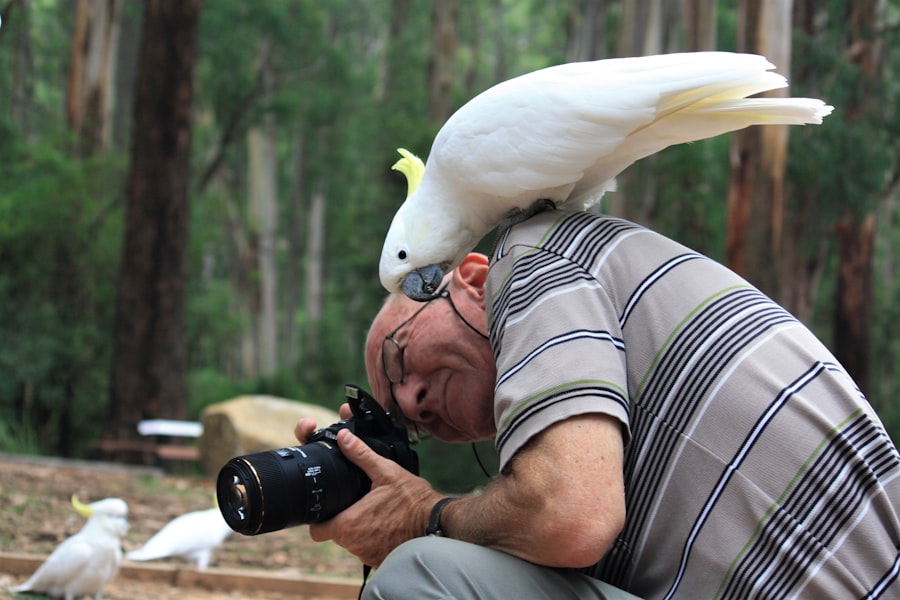 Pet bird on shoulder