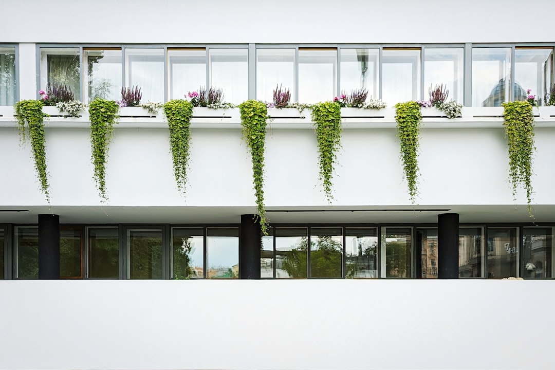 Photo Plant-filled balcony