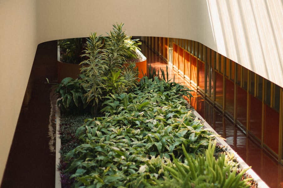 Photo Plant-filled balcony