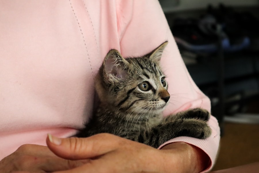 Photo Pet Adoption Centers