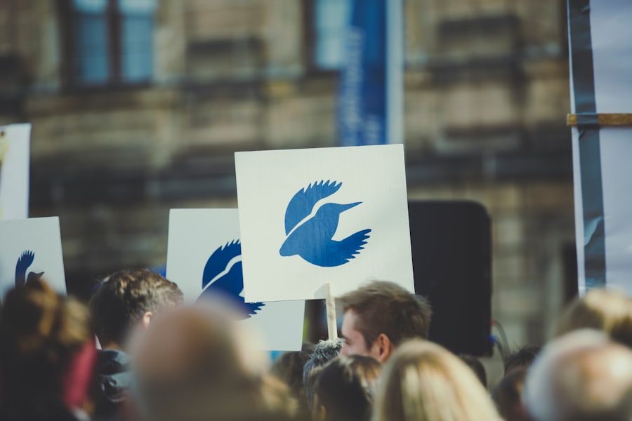 Photo Influencer Campaigns