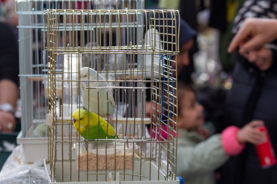 Photo Bird Cage